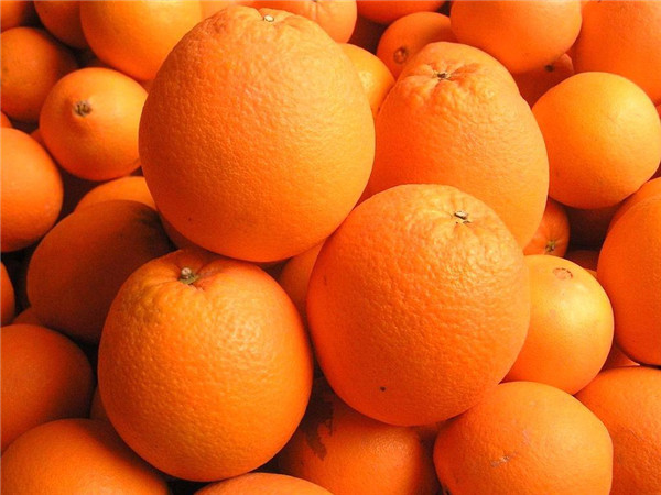 脐橙怎么挑选比较甜