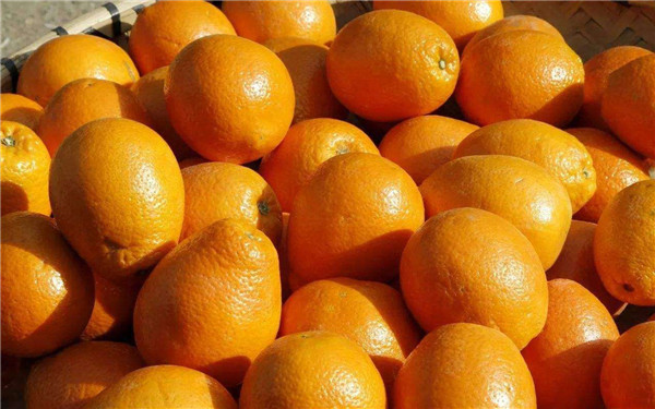 橙子为什么不能放冰箱