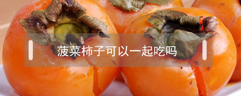 菠菜柿子可以一起吃吗