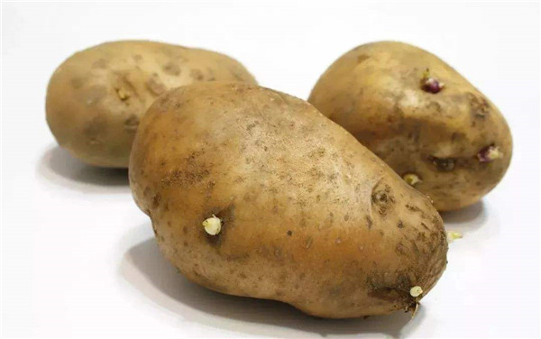土豆是酸性还是碱性的