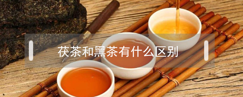 茯茶和黑茶有什么区别