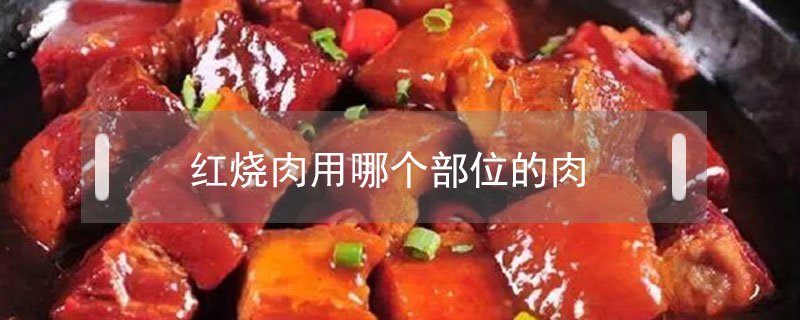 红烧肉用哪个部位的肉