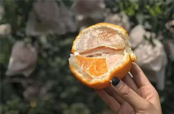 橙子打甜蜜素过程