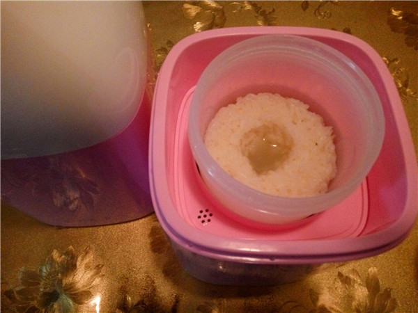 酸奶机醪糟的做法