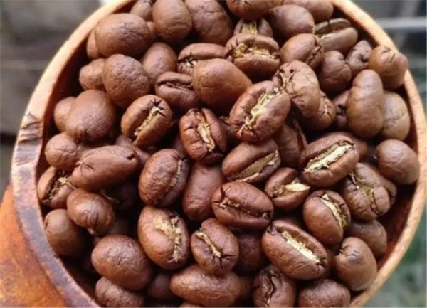 猫屎咖啡原产地是哪个国家