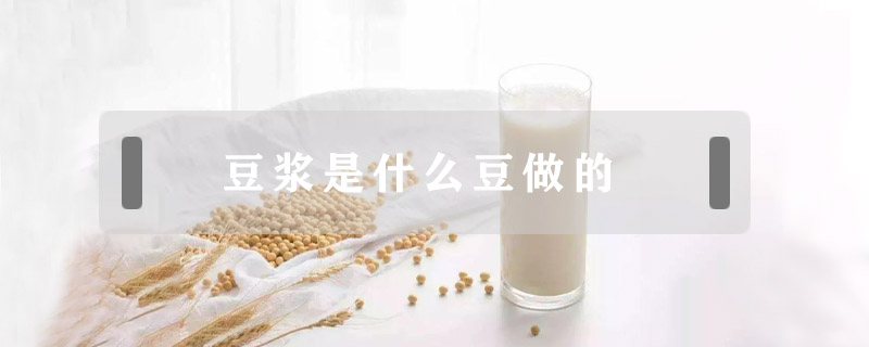 豆浆是什么豆做的