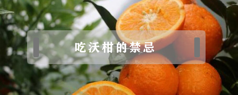 吃沃柑的禁忌
