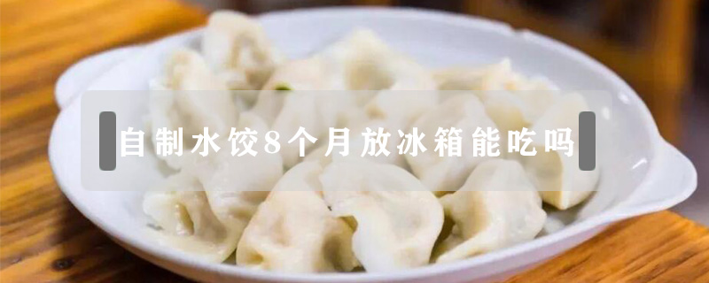 自制水饺8个月放冰箱能吃吗