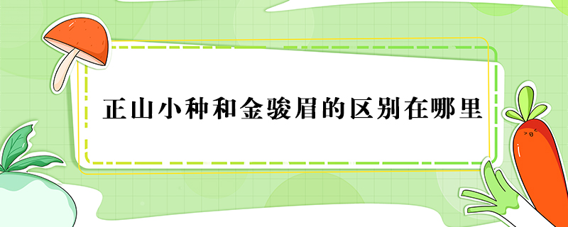 正山小种和金骏眉的区别在哪里