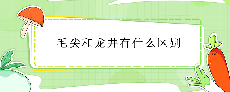 毛尖和龙井有什么区别