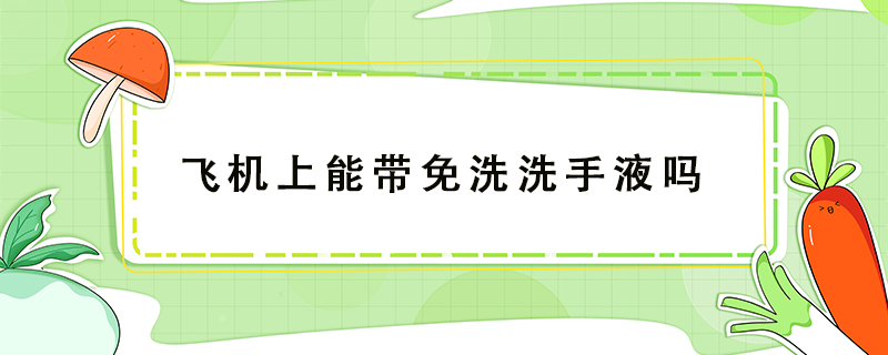 飞机上能带免洗洗手液吗