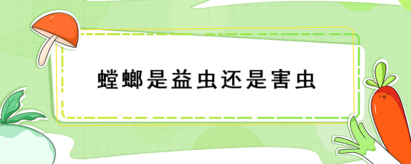螳螂是益虫还是害虫