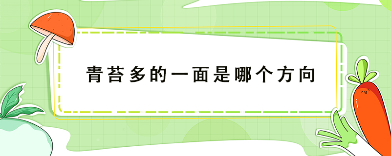 青苔多的一面是哪个方向