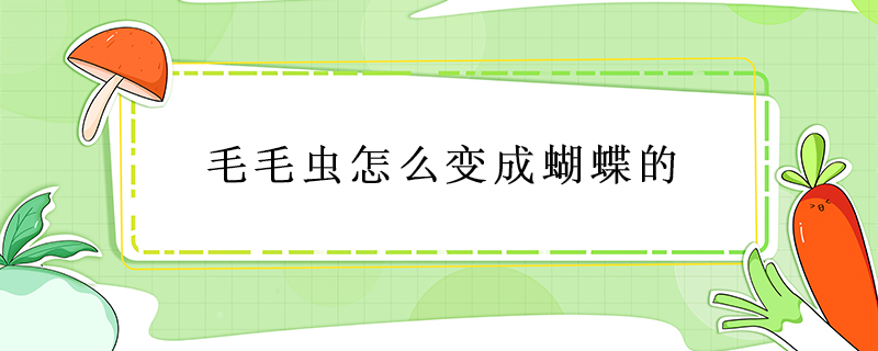 毛毛虫怎么变成蝴蝶的