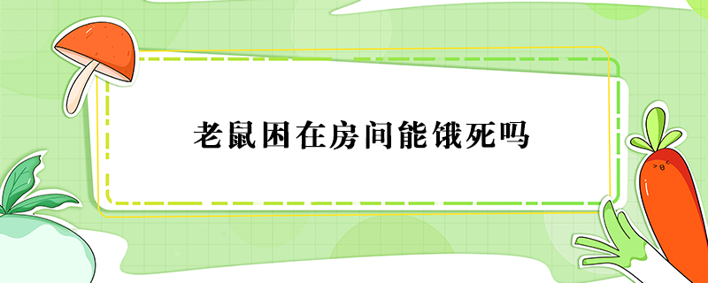 老鼠困在房间能饿死吗