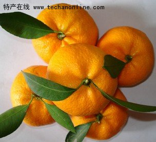 南丰蜜桔