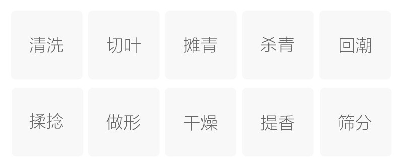 桑叶茶